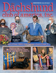 Dachshund Club of America Newsletter Summer/Autumn 2021 by twc910