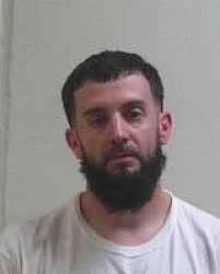 Duluth woman pleads guilty in dismembering case