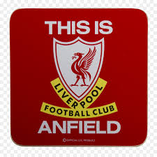 La piattaforma di viaggi più grande del mondo. Liverpool Bird