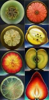 Fresh Fruit Cross Section Beautiful Fruit Photography Fruit Illustration Fruit Art
