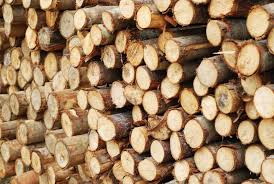 I've been buying firewood for years and could never rely on whether it was going to burn or not. Firewood Supplier Surrey Hills Vic Doncaster East Glen Waverley Surrey Hills Firewood Supplies