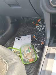 I use my tongue, my lips, my fingers, and sometimes my teeth (carefully!) on my girlfriend's pussy. Re Upload Been Trying To Stop Eating Out At Work First Day A Vehicle In Front Of Me Stopped Suddenly And The Seat Projectile Vomited My Lunch Wellthatsucks