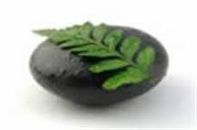 Check spelling or type a new query. About