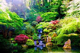 Check spelling or type a new query. Zen Waterfall Wallpapers Top Free Zen Waterfall Backgrounds Wallpaperaccess