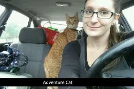 Fundraiser by Ebony Jade : Jibbles Needs Surgery