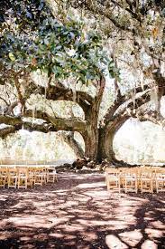 Modern New Orleans Destination Wedding With Colorful Style Nola Wedding Destination Wedding New Orleans Wedding