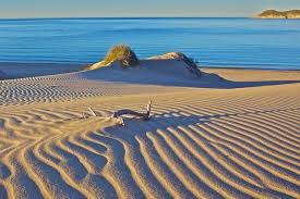 San carlos, also known as puerto san carlos, is a fishing community facing the pacific ocean, in magdalena bay of baja california sur, mexico. Los Algodones Sand Dunes San Carlos Sonora Mexico By Craig Tissot Via 500px Mexico Beaches Mexico Travel Visit Mexico
