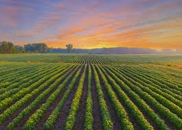 agricultural lands