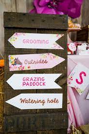 4.7 out of 5 stars. Rustic Horse Birthday Party For Girls Pretty My Party