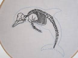 Embroidered Dolphin Skeleton Hoop Art By Historianaturale On Etsy Skeleton Drawings Hoop Art Embroidery Hoop Art