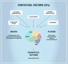 Contextual factors with potential to influence how the pcmh manifests and how it affects different thinking contextually is generally not amenable to a checklist approach but involves a way of. Contextual Factors Are Very Important In Trust Me I M A Physiotherapist Facebook
