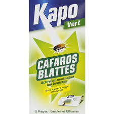 Piege a blatte fait maison. Cafards Piege Kapo Vert Vendu Par 5 De Piege A Cafards 1072016 Mon Magasin General