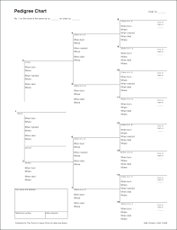 28 Images Of Pedigree Form Template Masorler Com