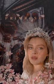 Historias de Vizconde