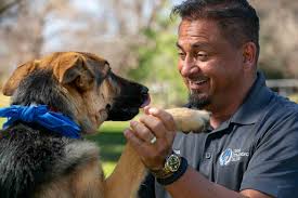 Puppy imprinting, puppy socialization, puppy training for denver, aurora, lakewood, westminister and surrounding areas. Cornerstone Card Adds Dog Training Services With Dog Training Elite Cornerstone Apartments