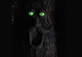 For best results, common to all glow in the dark paints, it is best to apply the aurora bright green paste thickly onto its surface and the colour radiates even more when brushed onto white backgrounds. 3 Best Glow In The Dark Paint For Outdoor Use In 2021 Bright Glow Glow In Dark