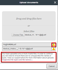 Supported File Types And Valid File Names - Sfax