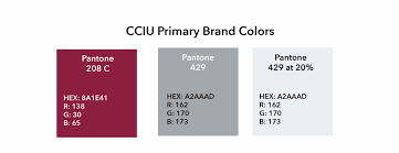 What's the urdu translation of brand ambassador? Marketing Communications Visual Identity