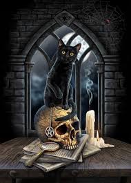 Spirit Of Salem In 2020 Black Cat Art Halloween Cat Magic Cat