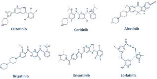 Image result for ALK Inhibitor