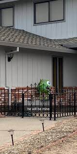 Abby Nicole Troy (@abbynicoletroy)  X