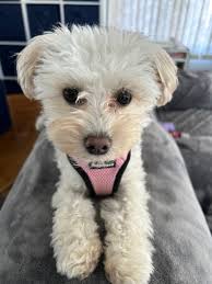 My little girl just turned a year old, when should I start her