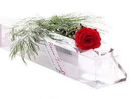 Rosen Te Amo Haltbare Ewige Blume Mit Konserviertem Bindegrun Und Grusskarte Zum Herunterladen Infinity Rosen Deko Und Geschenk In Neue Verstarkte Verpackung Amazon De Garten