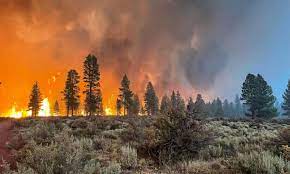 More than 17,700 wildland firefighters and support personnel and 32 type 1 and type 2 incident management teams are assigned to wildfires. Vh2iekvyoptccm