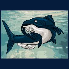 Check spelling or type a new query. How To Draw A Catfish Step By Step Drawing Guide By Dawn Dragoart Com