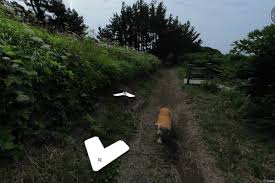 How else would some of us ever be able to visit some of the world's most remarkable to help you on your quest of discovery, we've compiled the 50 best google street views we could gather and arranged them alphabetically. Very Good Dog Crashes Every Street View Shot Of This South Korean Island The Verge
