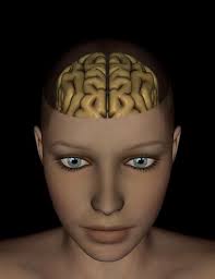 need to cut open Vicky's head ...