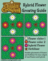 You can grow flowers in your animal crossing: Mayorfriday Tumblr Blog With Posts Tumbral Com