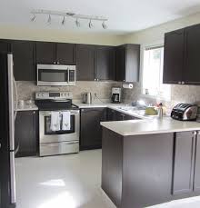 cabinet transformations submitted by cara