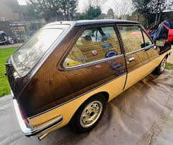 Image result for River Blue 1979 Fiesta