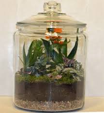 The Making Of A Terrarium 4 Easy Steps 3glol How To Make Terrariums Terrarium Wall Terrarium