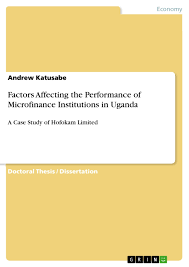 1,335 microfinance institutions between 2005 and 2009, jointly serving 80.1 million borrowers, to calculate the costs of microfinance and other elements of the microfinance business model. Factors Affecting The Performance Of Microfinance Institutions Grin