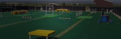 We did not find results for: Used Recycled Artificial Turf Discounts On Deck Sports