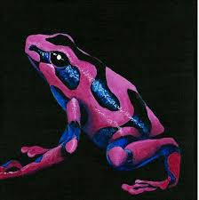 Dart Frog My Nana Loved Bright Colors And Frogs I May End Up With A Tattoo Like This For Her Amazing Frog Poison Dart Frogs Poison Frog