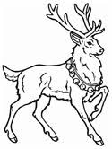 Advanced animal coloring pages coloring pages printable com. Deer Coloring Pages
