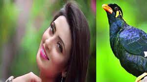Pin On Herbal Health Tips