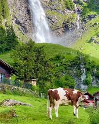 Stunning Switzerland On Instagram Stunning Uri Switzerland Who Want To Visit This Place Follow In 2020 Travel Around The World Places To Visit Travel Pictures