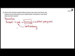 Contoh soal hots untuk sd kelas 5 contoh file soal bahasa jawa kelas 6 semester 1 2020. Soal Hots Ipa Sd Mi Youtube