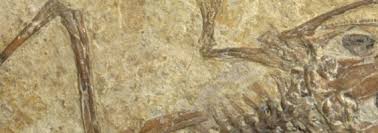 Réserve naturelle géologique du Luberon