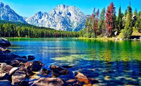 Maybe you would like to learn more about one of these? Beautiful Lake Mountain Forest Desktop Wallpapers Mountains Desktop Background 1920x1182 Wallpaper Teahub Io