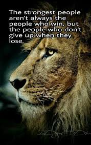Dontgiveup Courage Wild Animals Photos Cute Animals Animals