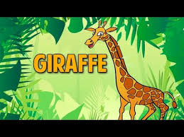 Here is the translation and the spanish word for giraffe: How To Pronounce Giraffe à¤œ à¤° à¤« Pronunciation In Hindi Animal Hd Lehren Kids Youtube
