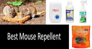 Stay away® mice repellent pouches are made with a blend of plant fiber and botanical extracts that, while pleasant for you, will offend rodents. Top 5 Mouse Repellents Review Buyer S Guide 2021
