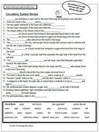 Circulatory System Review Worksheet By The Biology Buzz Place Tpt