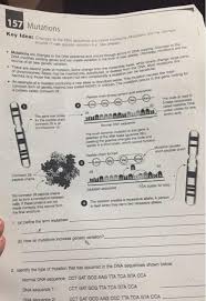 Ek 3.b.1 gene regulation results in differential gene expression, leading to cell. Genetic Mutations Worksheet Answer Key Nidecmege
