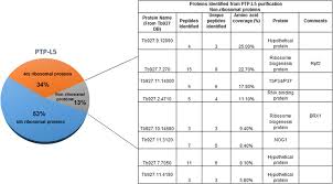 summary of proteins identified from mass spectrometry